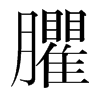 臞的韓國明朝體